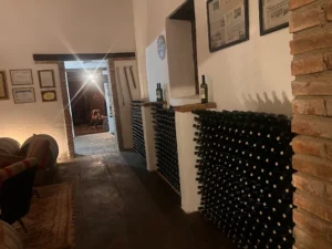 museo del vino