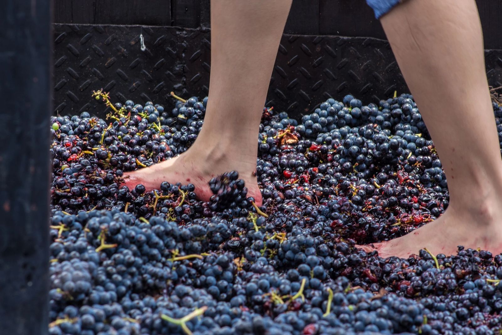 WhatsApp Image 2026-03-05 at 13.55.41